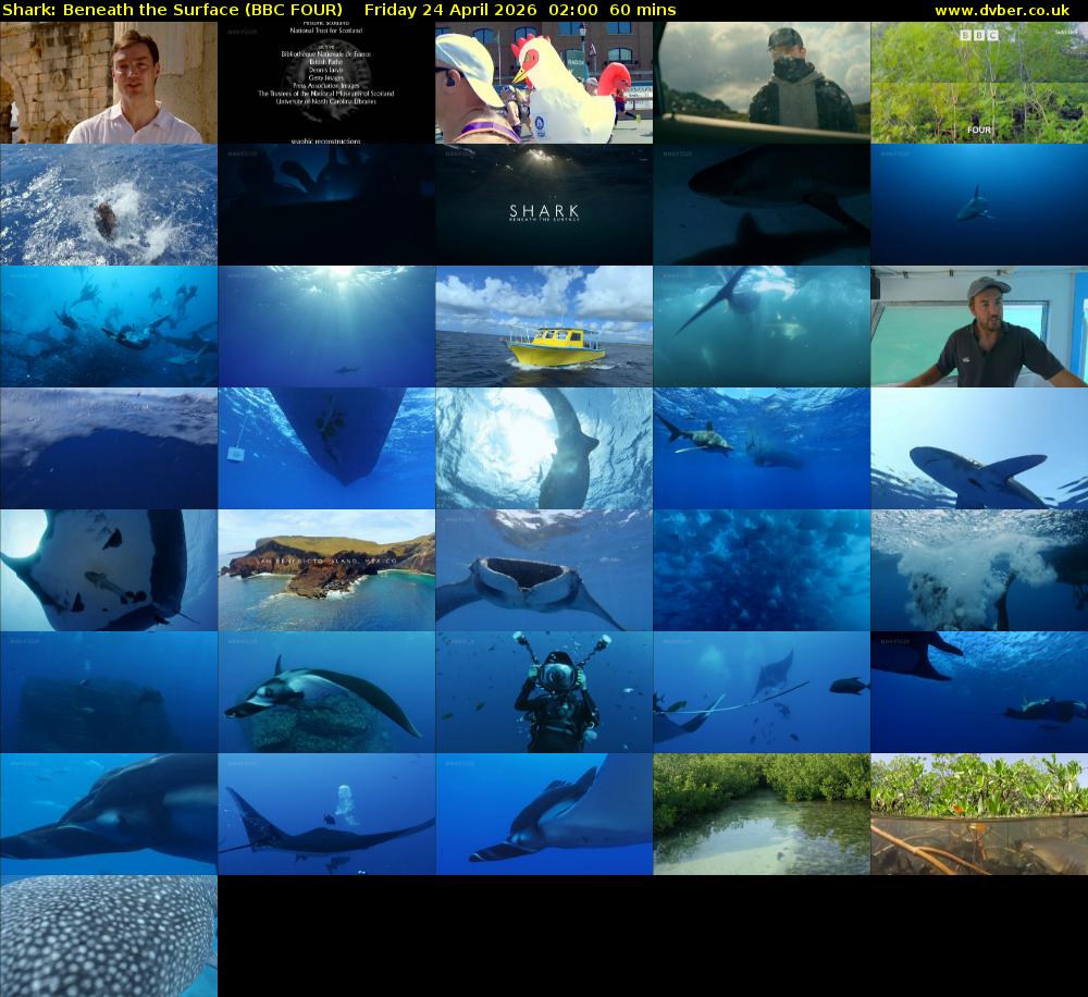 Shark: Beneath the Surface (BBC FOUR) Friday 24 April 2026 02:00 - 03:00