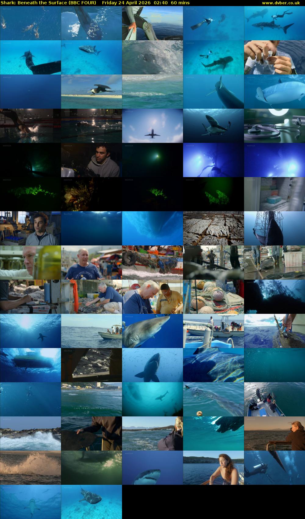 Shark: Beneath the Surface (BBC FOUR) Friday 24 April 2026 02:40 - 03:40