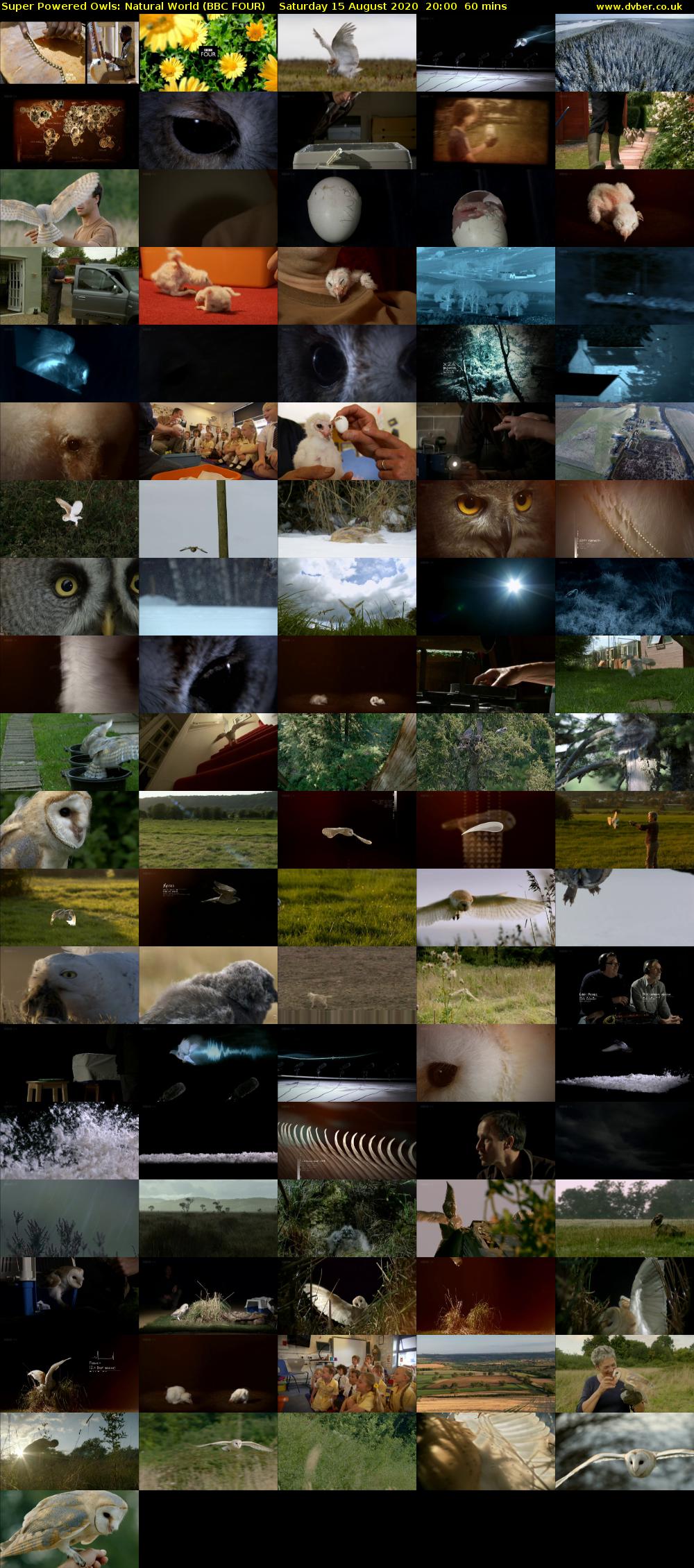 Super Powered Owls: Natural World (BBC FOUR) Saturday 15 August 2020 20:00 - 21:00