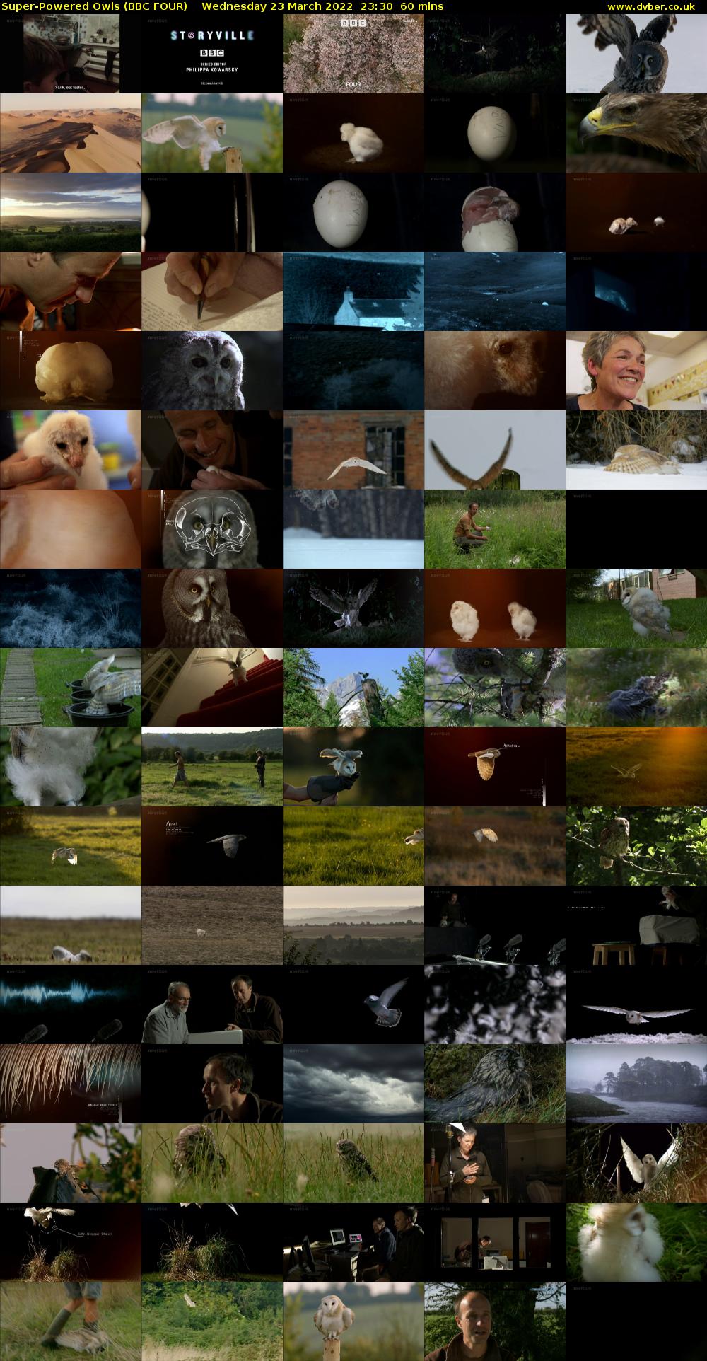 Super-Powered Owls (BBC FOUR) Wednesday 23 March 2022 23:30 - 00:30