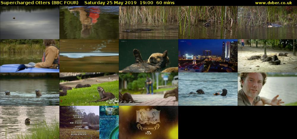 Supercharged Otters (BBC FOUR) Saturday 25 May 2019 19:00 - 20:00