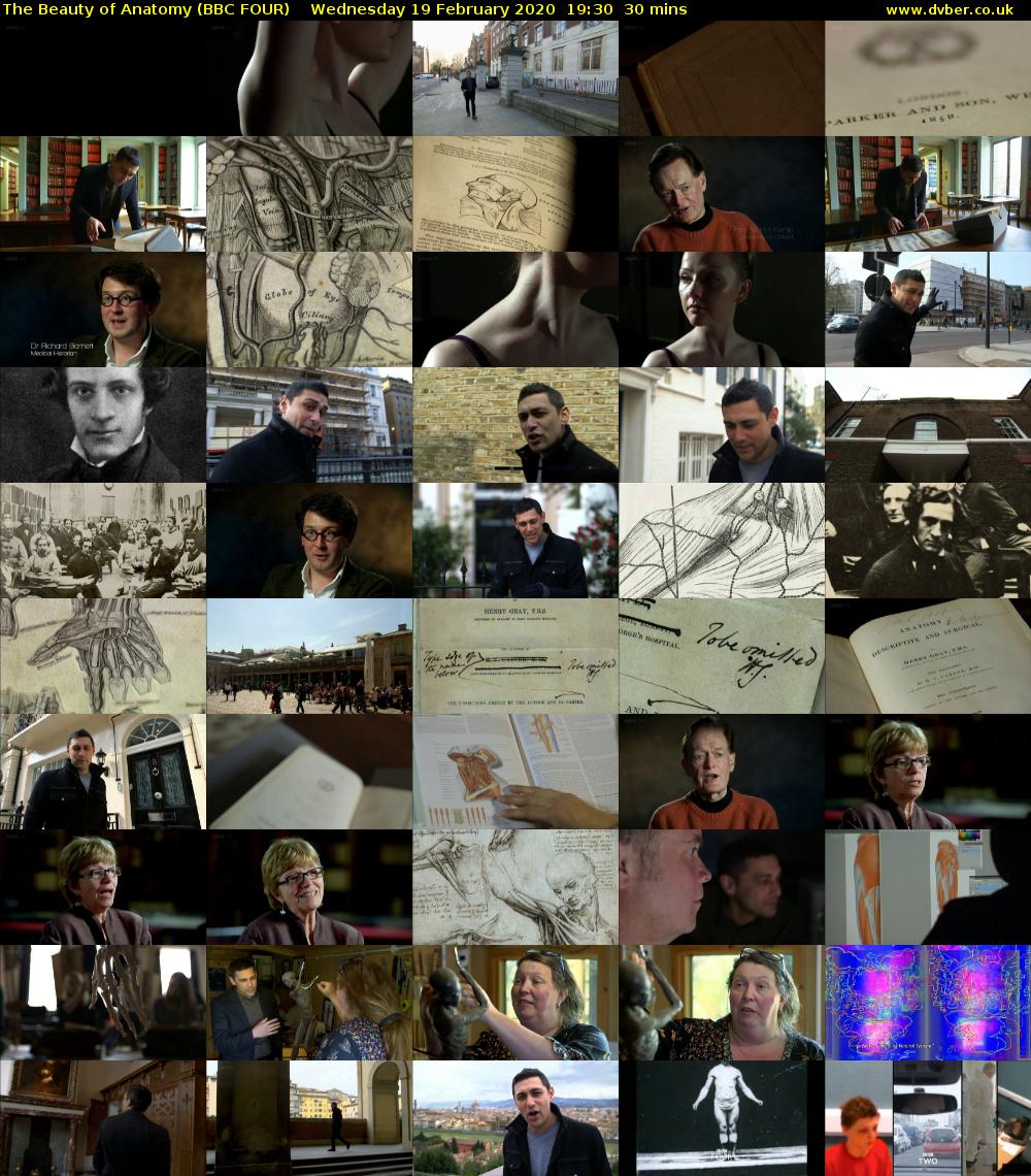 The Beauty of Anatomy (BBC FOUR) Wednesday 19 February 2020 19:30 - 20:00
