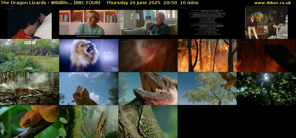 The Dragon Lizards - Wildlife... (BBC FOUR) Thursday 26 June 2025 20:50 - 21:00