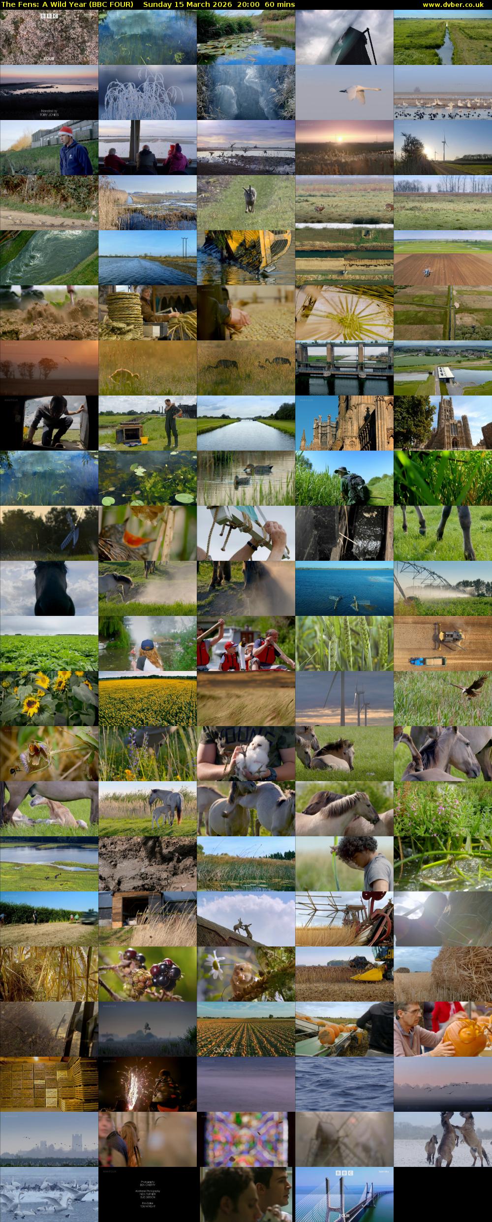 The Fens: A Wild Year (BBC FOUR) Sunday 15 March 2026 20:00 - 21:00