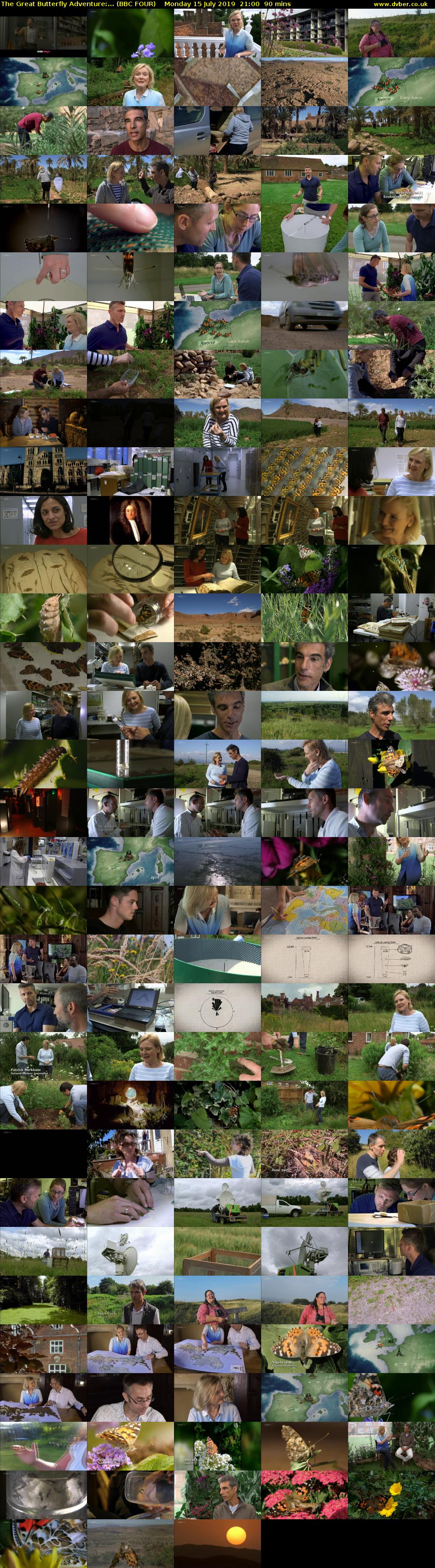 The Great Butterfly Adventure:... (BBC FOUR) Monday 15 July 2019 21:00 - 22:30
