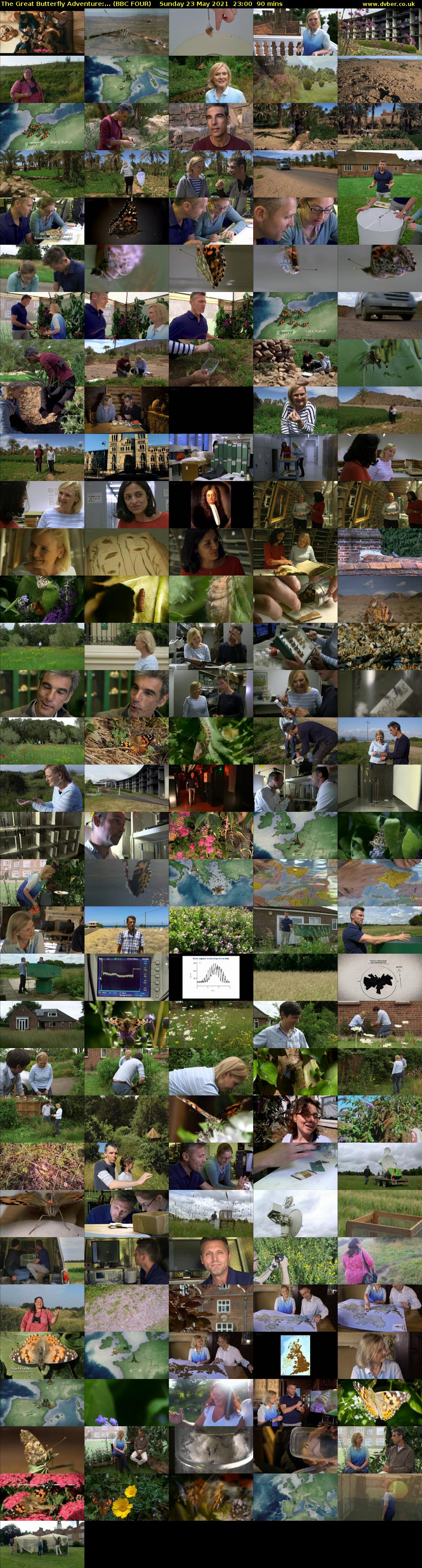 The Great Butterfly Adventure:... (BBC FOUR) Sunday 23 May 2021 23:00 - 00:30