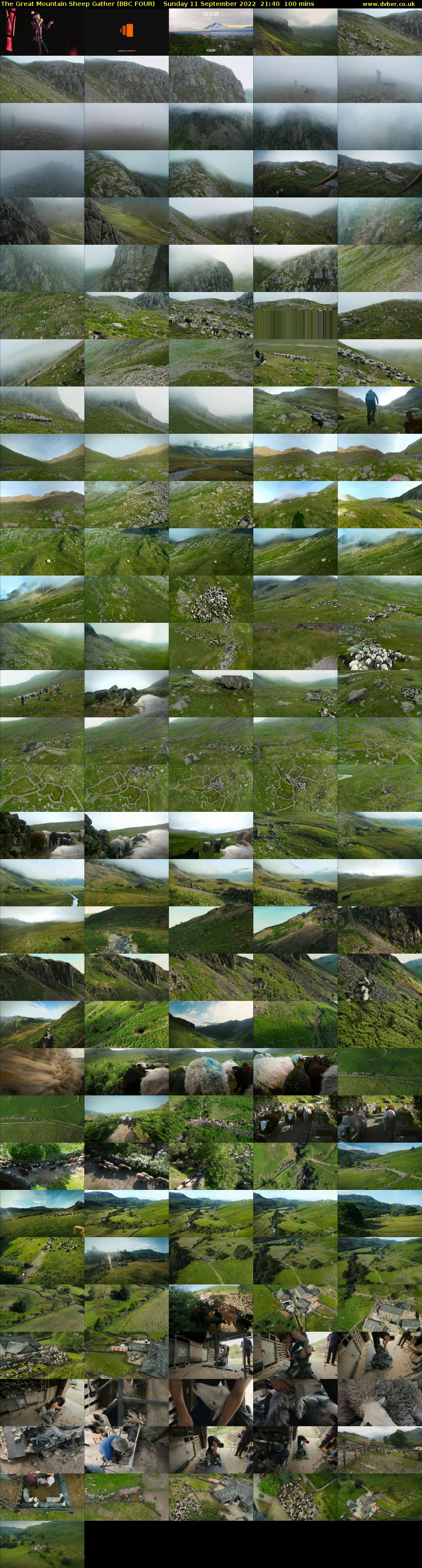 The Great Mountain Sheep Gather (BBC FOUR) Sunday 11 September 2022 21:40 - 23:20