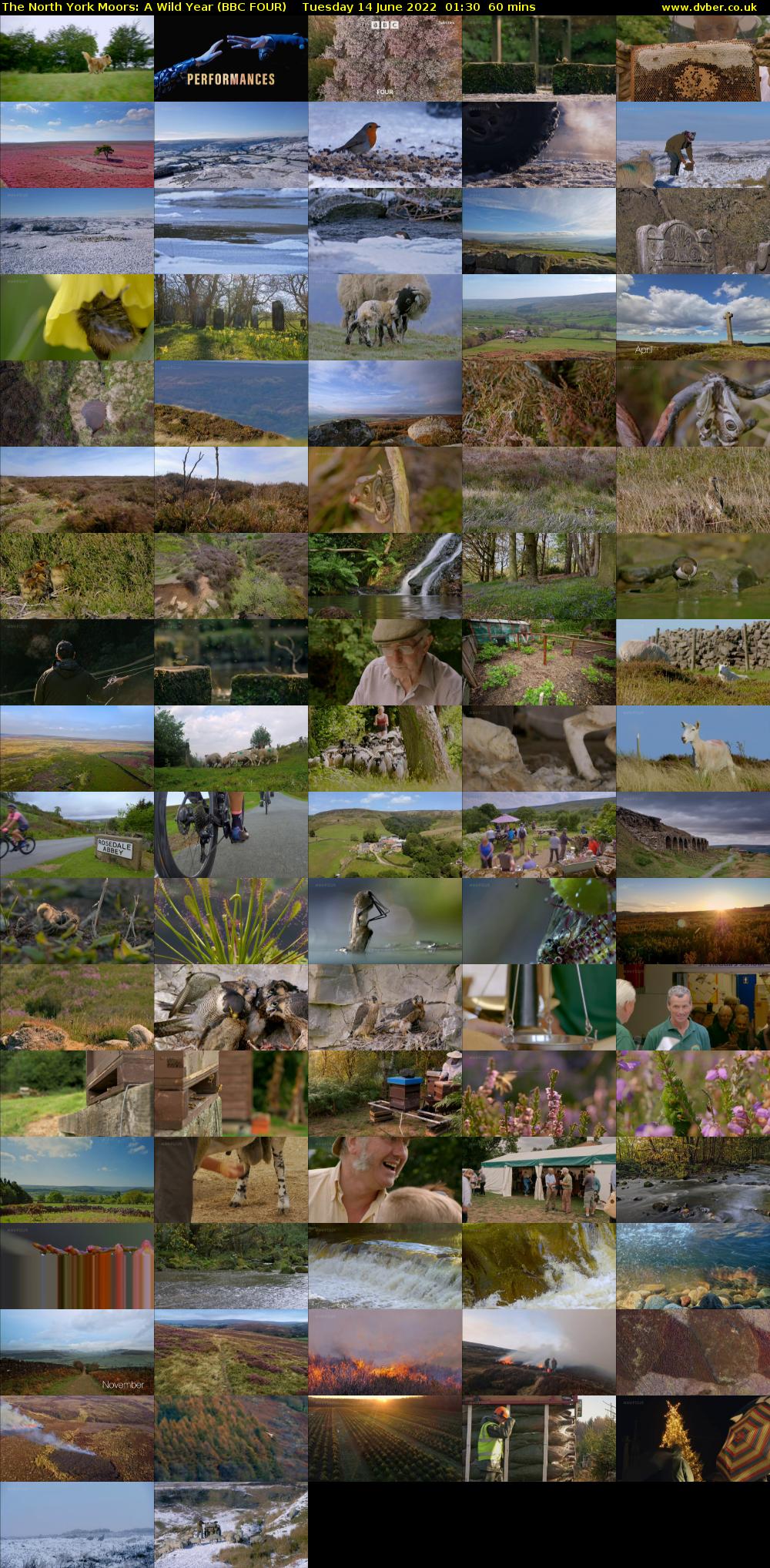The North York Moors: A Wild Year (BBC FOUR) Tuesday 14 June 2022 01:30 - 02:30