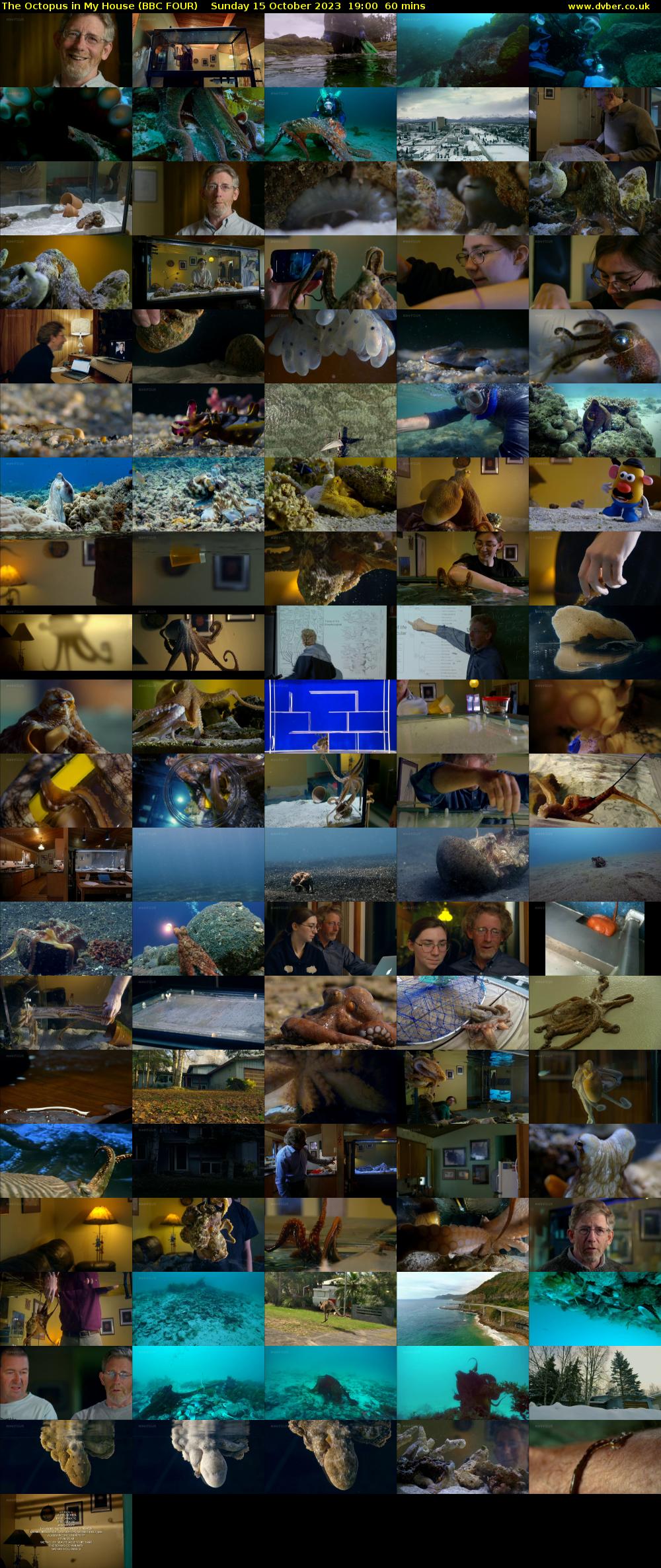 The Octopus in My House (BBC FOUR) Sunday 15 October 2023 19:00 - 20:00