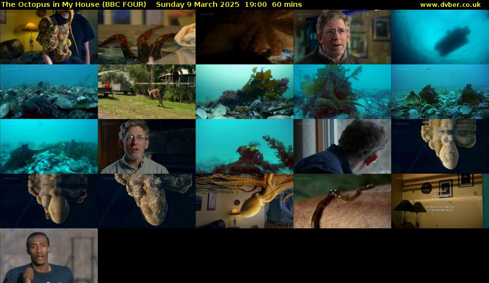 The Octopus in My House (BBC FOUR) Sunday 9 March 2025 19:00 - 20:00