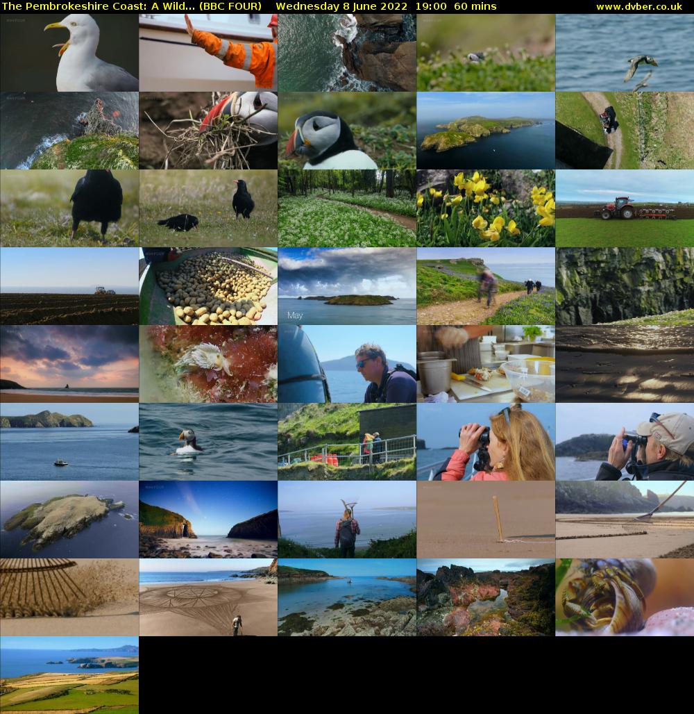The Pembrokeshire Coast: A Wild... (BBC FOUR) Wednesday 8 June 2022 19:00 - 20:00