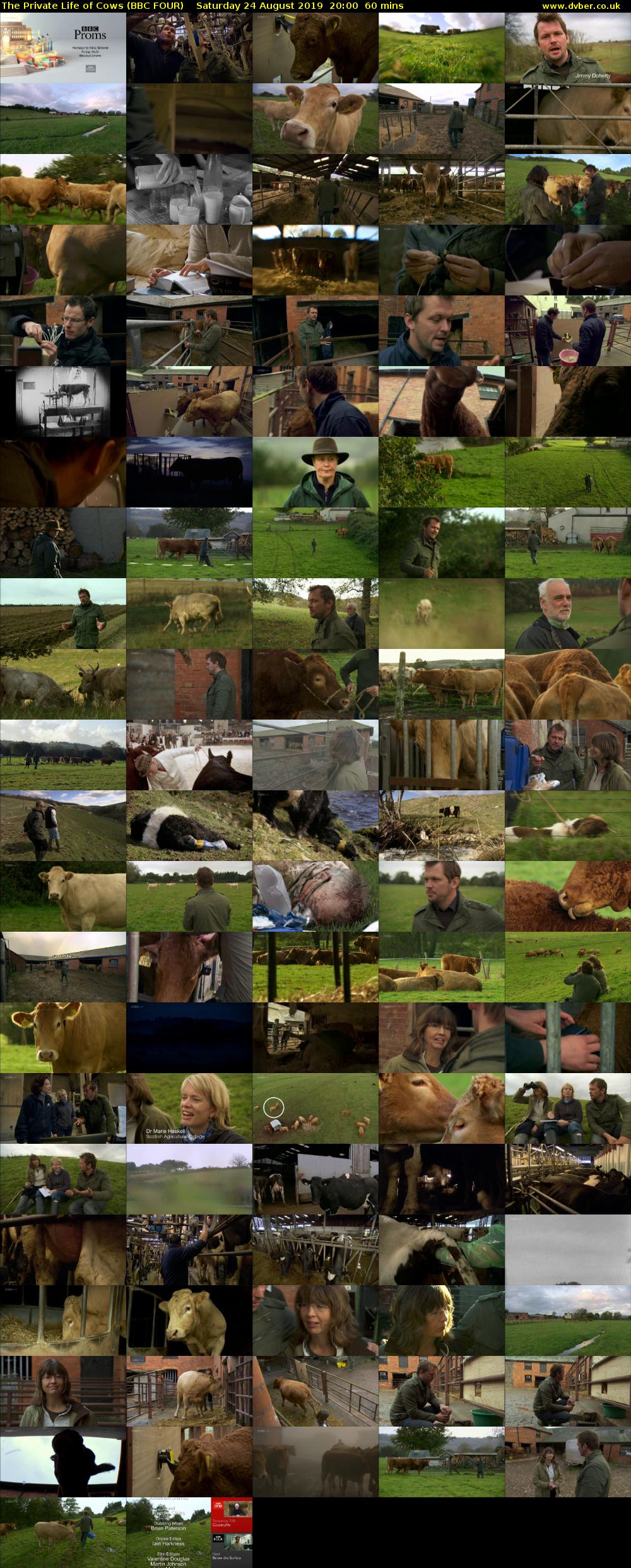The Private Life of Cows (BBC FOUR) Saturday 24 August 2019 20:00 - 21:00