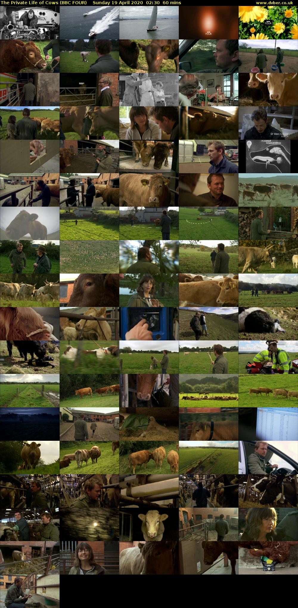 The Private Life of Cows (BBC FOUR) Sunday 19 April 2020 02:30 - 03:30
