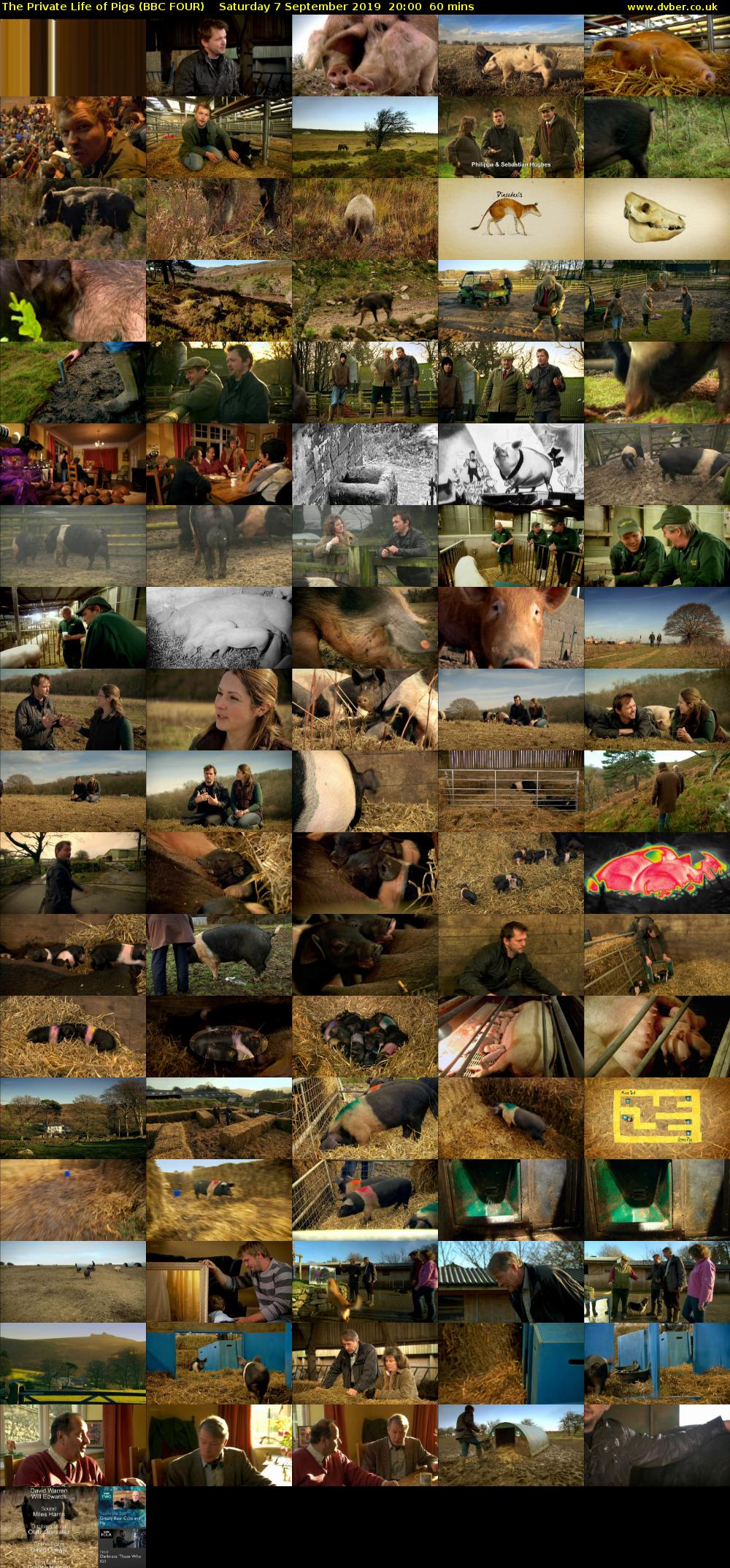 The Private Life of Pigs (BBC FOUR) Saturday 7 September 2019 20:00 - 21:00
