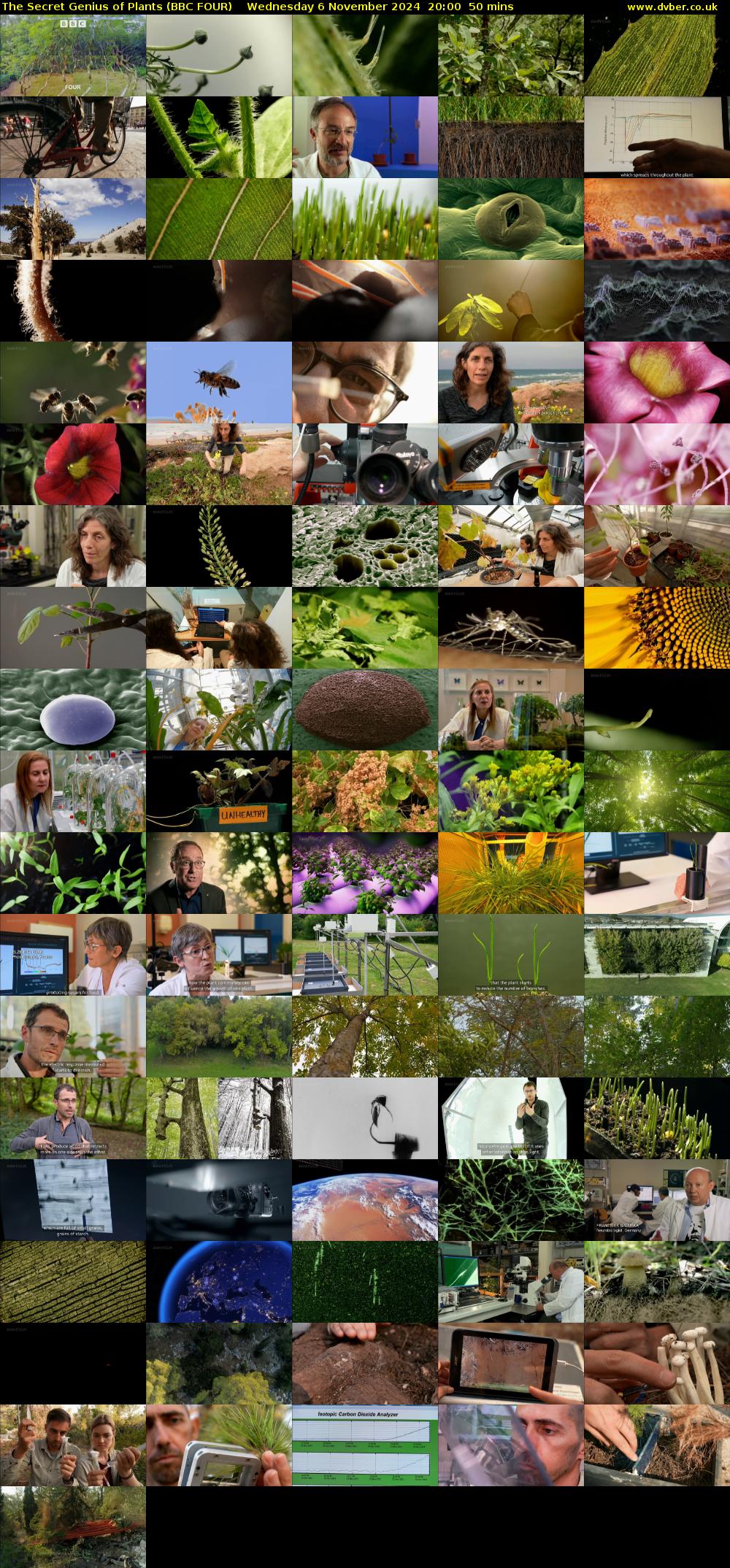 The Secret Genius of Plants (BBC FOUR) Wednesday 6 November 2024 20:00 - 20:50