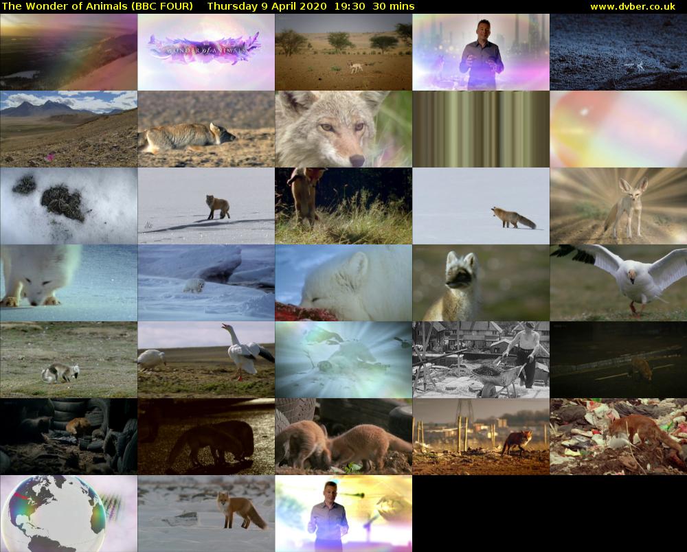 The Wonder of Animals (BBC FOUR) Thursday 9 April 2020 19:30 - 20:00