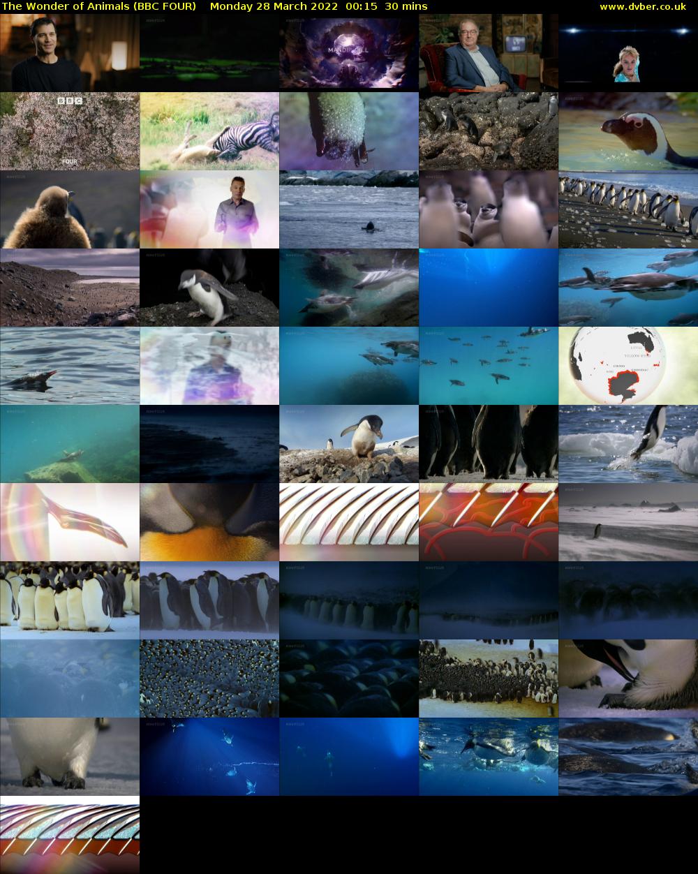 The Wonder of Animals (BBC FOUR) Monday 28 March 2022 00:15 - 00:45