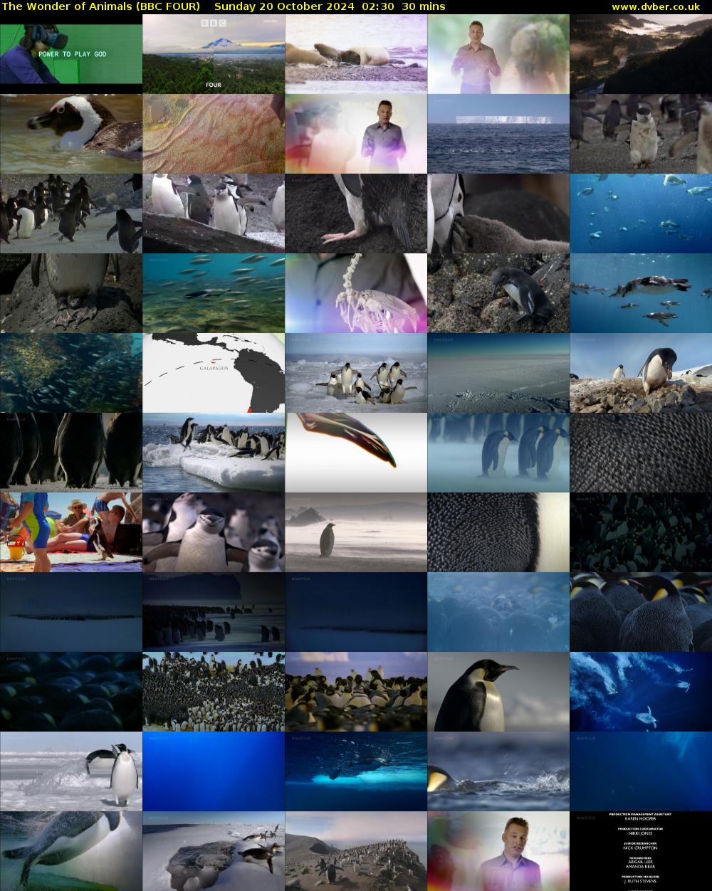 The Wonder of Animals (BBC FOUR) Sunday 20 October 2024 02:30 - 03:00