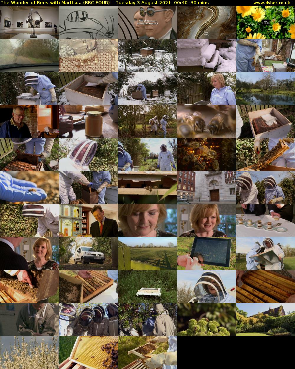 The Wonder of Bees with Martha... (BBC FOUR) Tuesday 3 August 2021 00:40 - 01:10