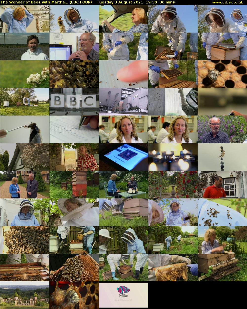 The Wonder of Bees with Martha... (BBC FOUR) Tuesday 3 August 2021 19:30 - 20:00