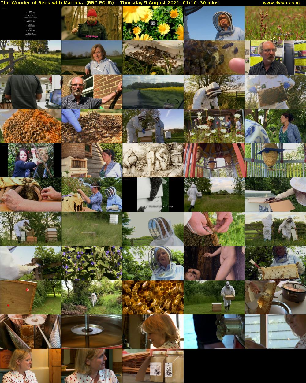 The Wonder of Bees with Martha... (BBC FOUR) Thursday 5 August 2021 01:10 - 01:40