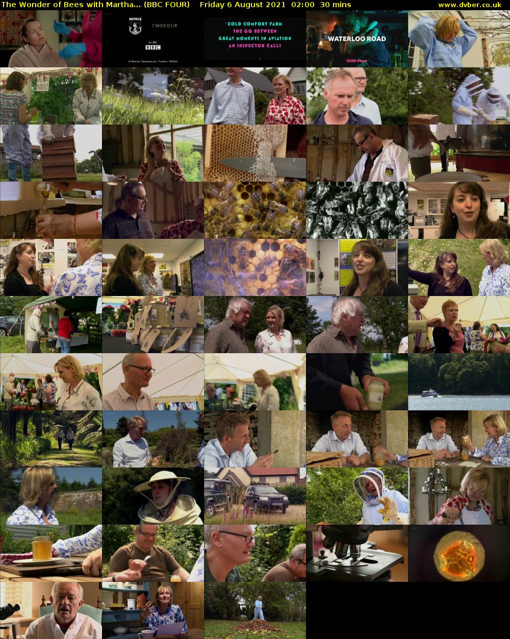 The Wonder of Bees with Martha... (BBC FOUR) Friday 6 August 2021 02:00 - 02:30