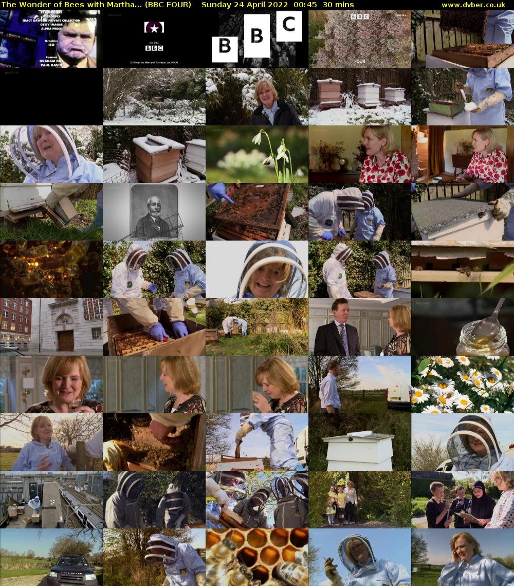 The Wonder of Bees with Martha... (BBC FOUR) Sunday 24 April 2022 00:45 - 01:15