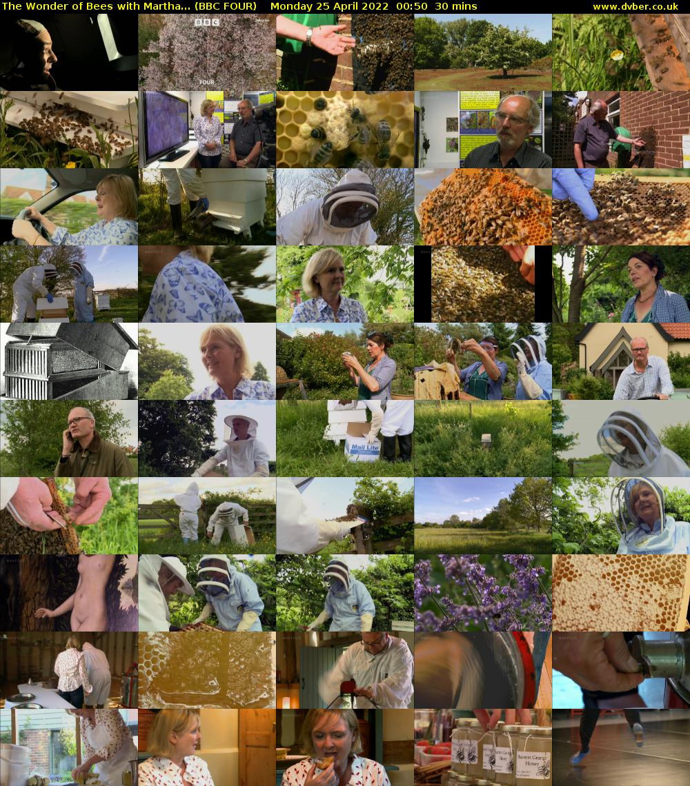 The Wonder of Bees with Martha... (BBC FOUR) Monday 25 April 2022 00:50 - 01:20