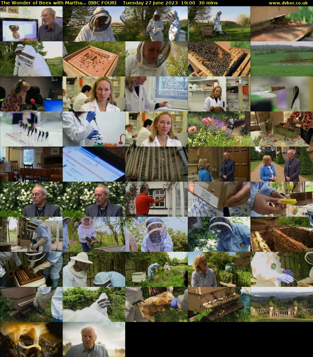 The Wonder of Bees with Martha... (BBC FOUR) Tuesday 27 June 2023 19:00 - 19:30