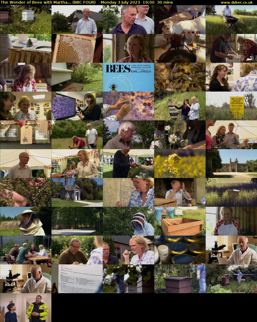 The Wonder of Bees with Martha... (BBC FOUR) Monday 3 July 2023 19:00 - 19:30