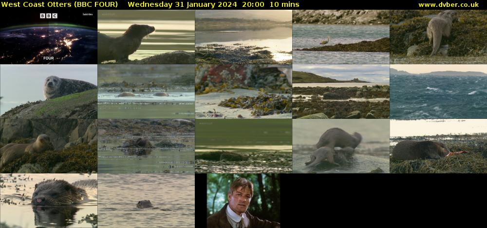 West Coast Otters (BBC FOUR) Wednesday 31 January 2024 20:00 - 20:10