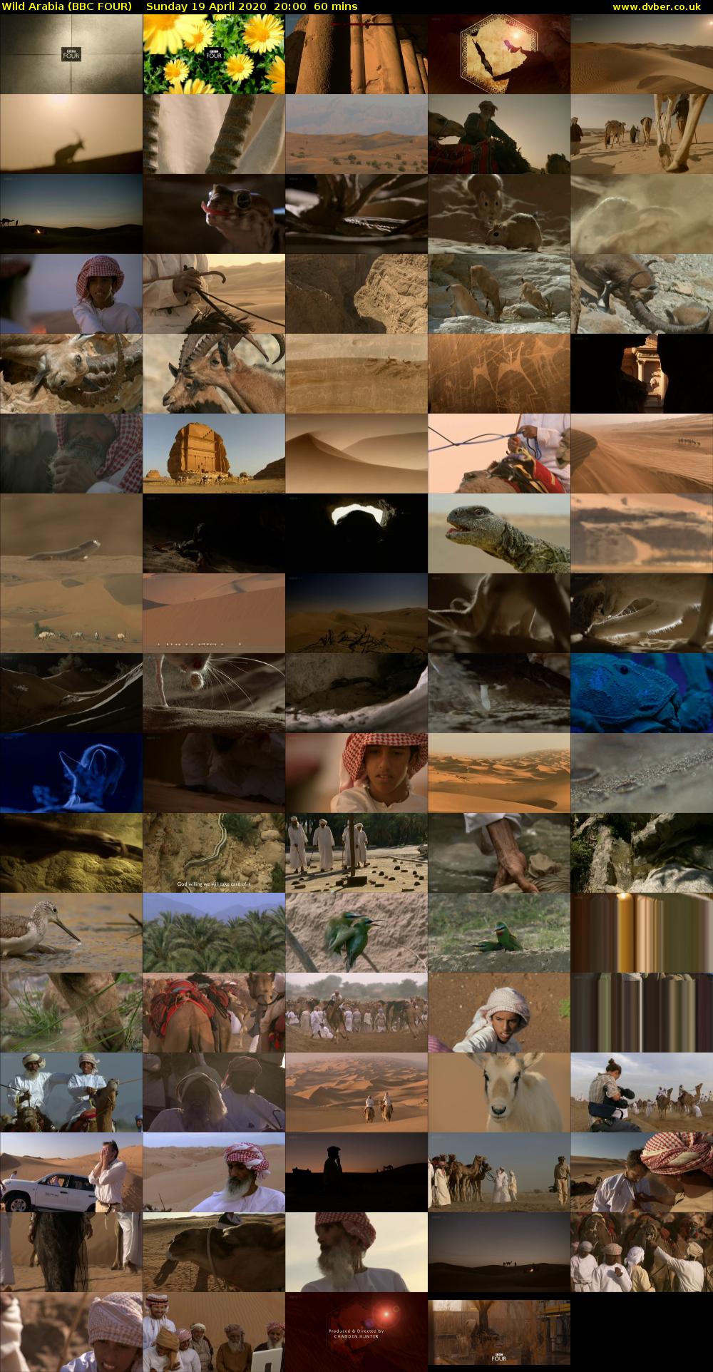 Wild Arabia (BBC FOUR) Sunday 19 April 2020 20:00 - 21:00