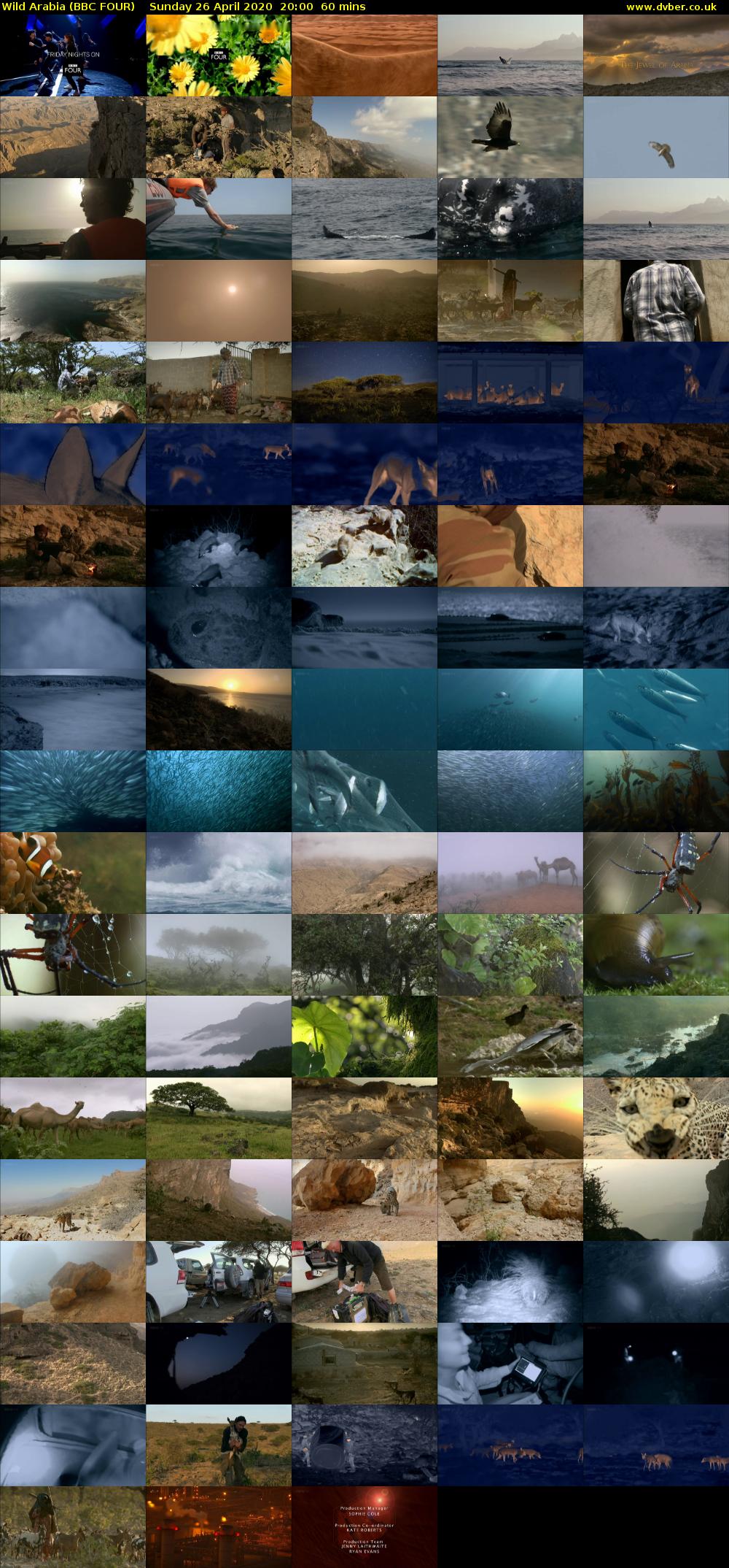 Wild Arabia (BBC FOUR) Sunday 26 April 2020 20:00 - 21:00
