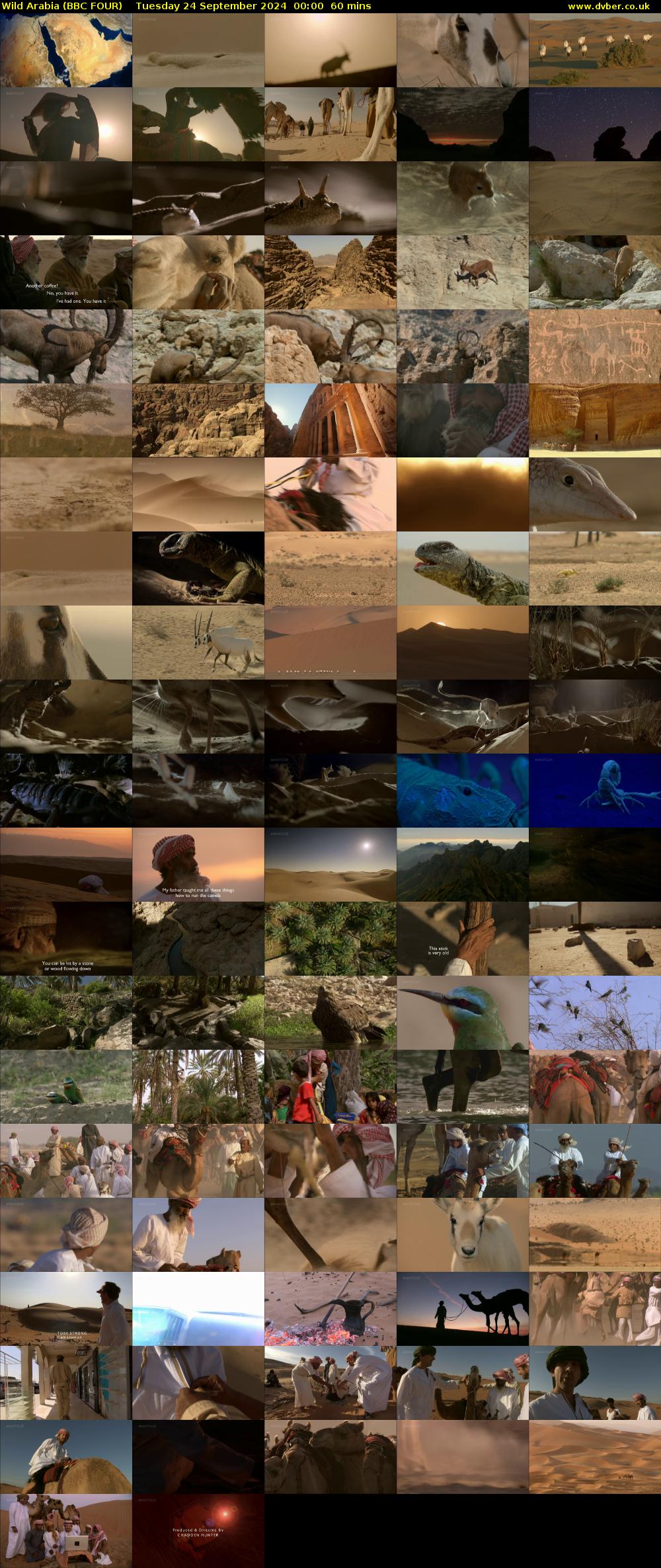 Wild Arabia (BBC FOUR) Tuesday 24 September 2024 00:00 - 01:00