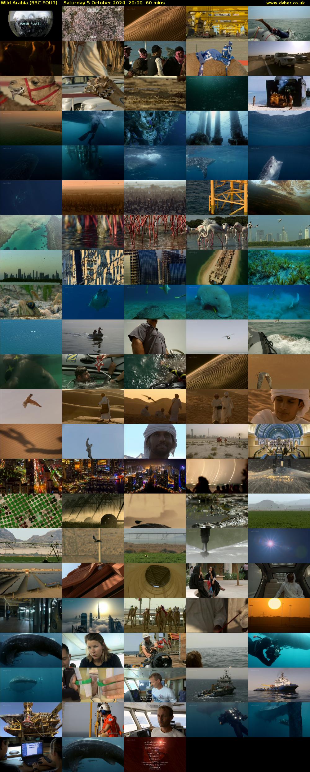 Wild Arabia (BBC FOUR) Saturday 5 October 2024 20:00 - 21:00