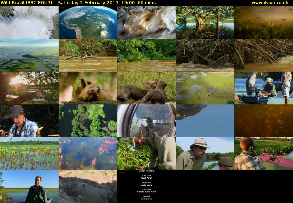 Wild Brazil (BBC FOUR) Saturday 2 February 2019 19:00 - 20:00