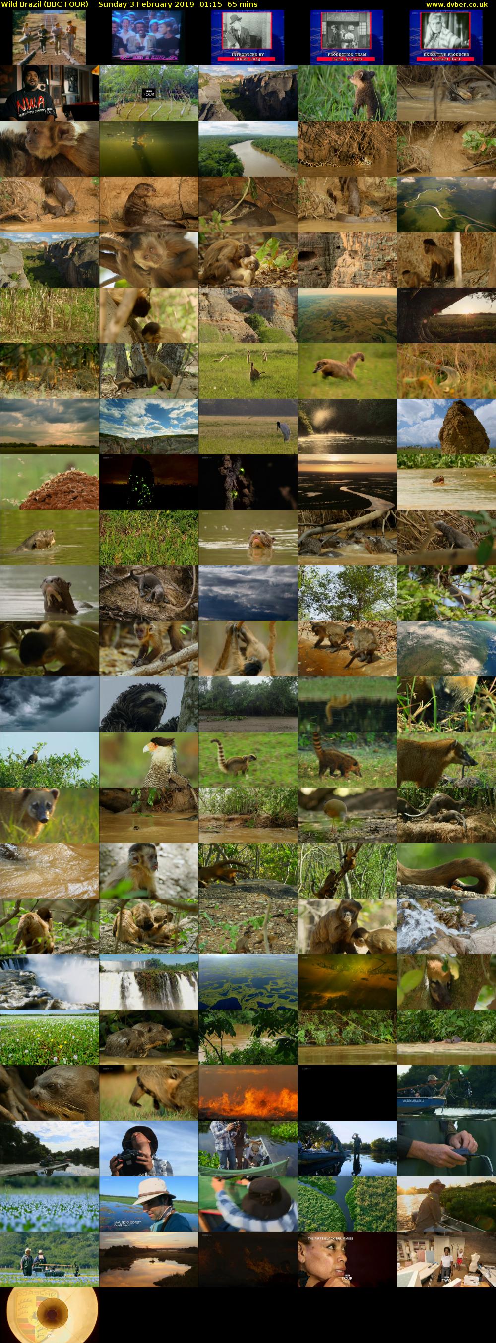 Wild Brazil (BBC FOUR) Sunday 3 February 2019 01:15 - 02:20