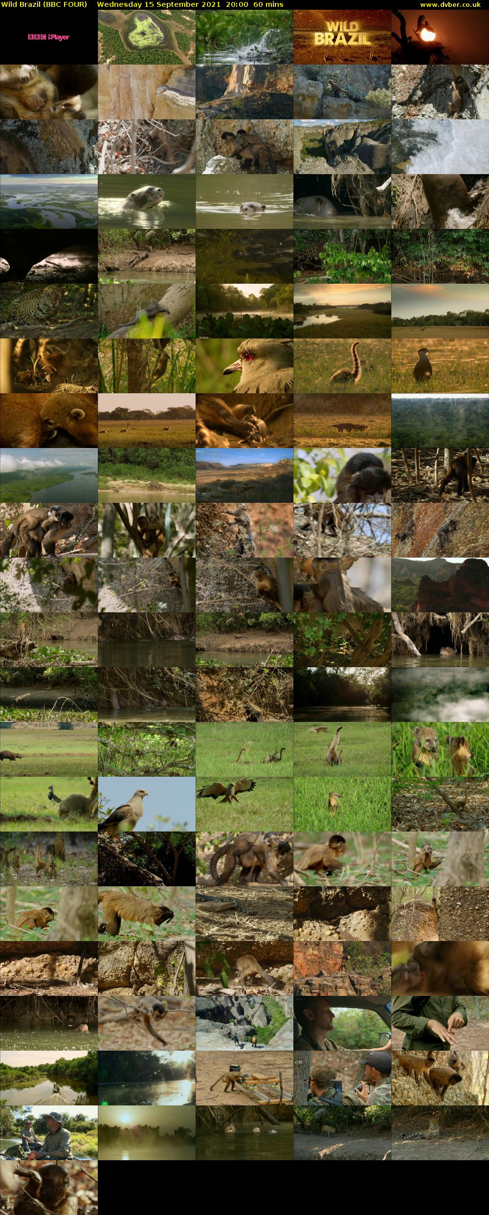 Wild Brazil (BBC FOUR) Wednesday 15 September 2021 20:00 - 21:00