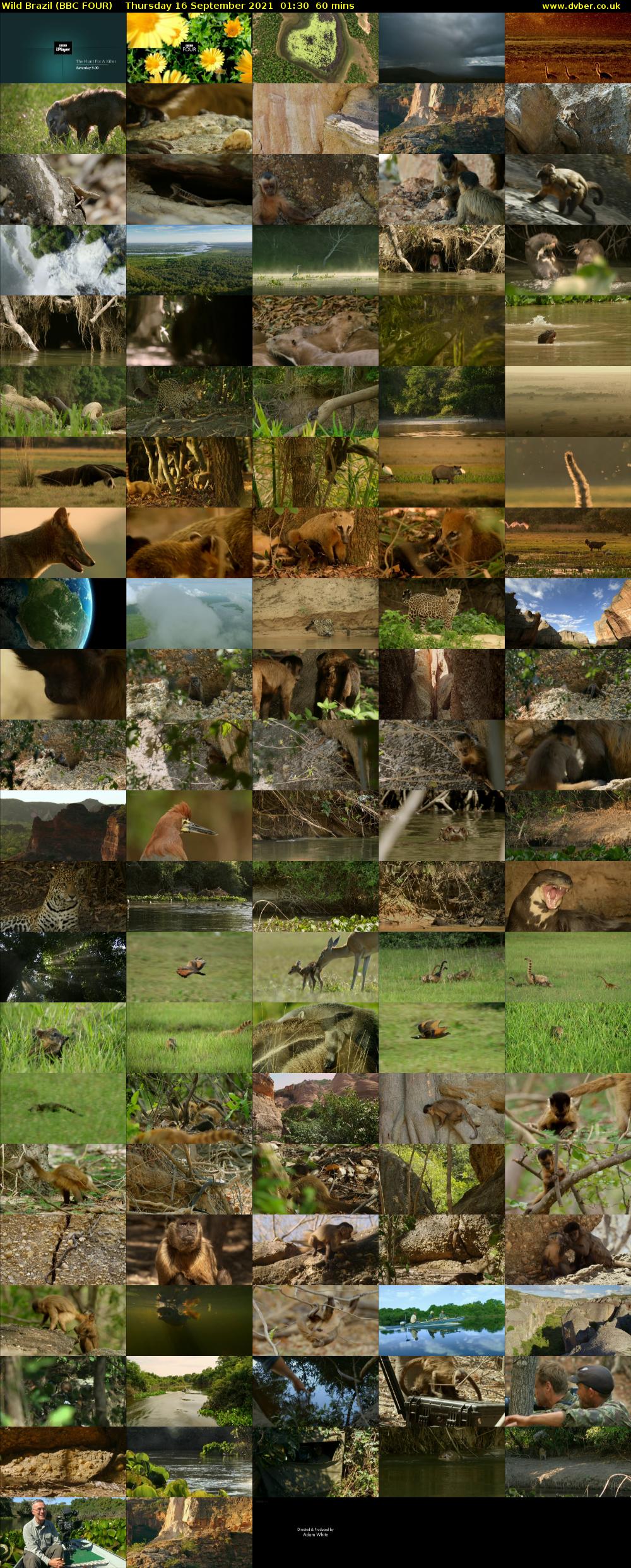 Wild Brazil (BBC FOUR) Thursday 16 September 2021 01:30 - 02:30