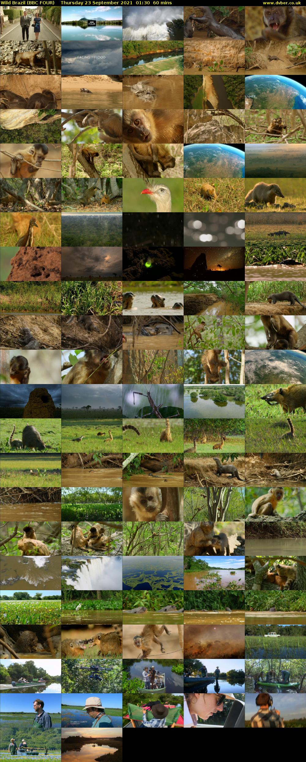 Wild Brazil (BBC FOUR) Thursday 23 September 2021 01:30 - 02:30