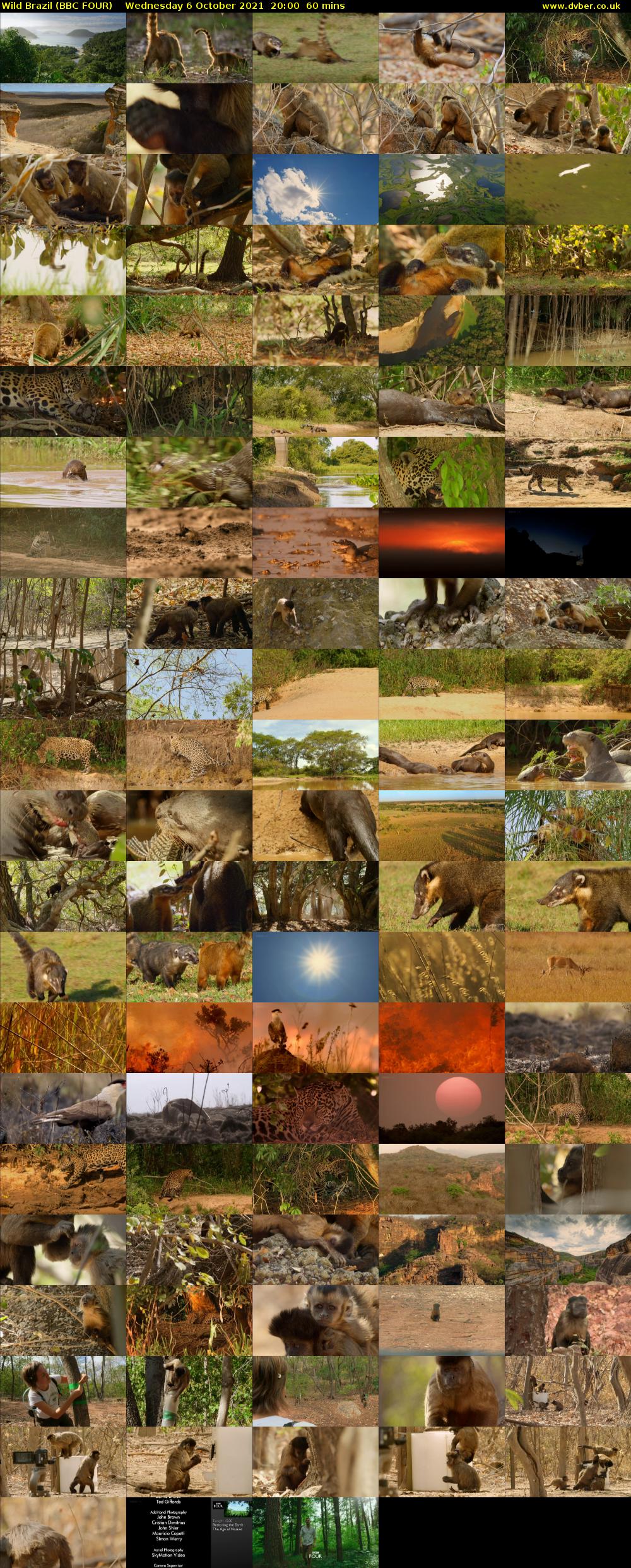 Wild Brazil (BBC FOUR) Wednesday 6 October 2021 20:00 - 21:00