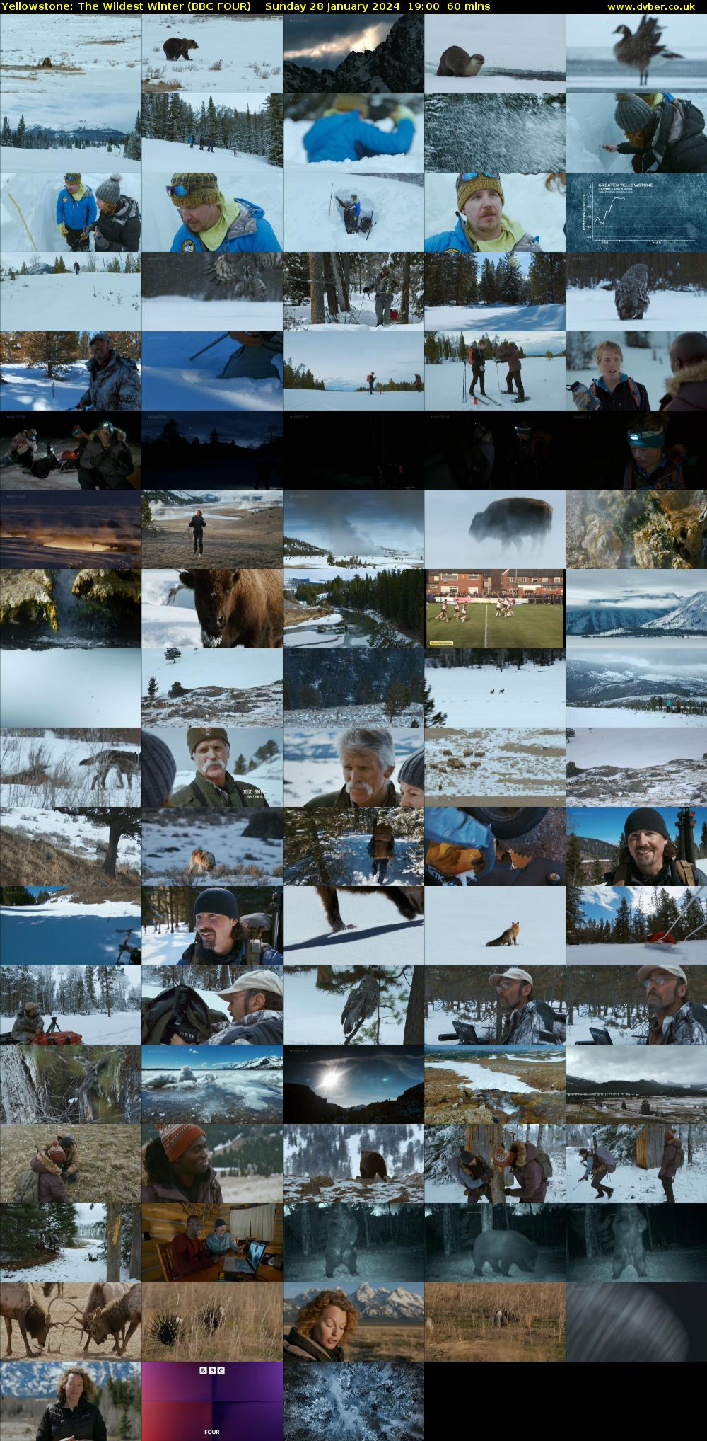Yellowstone: The Wildest Winter (BBC FOUR) Sunday 28 January 2024 19:00 - 20:00