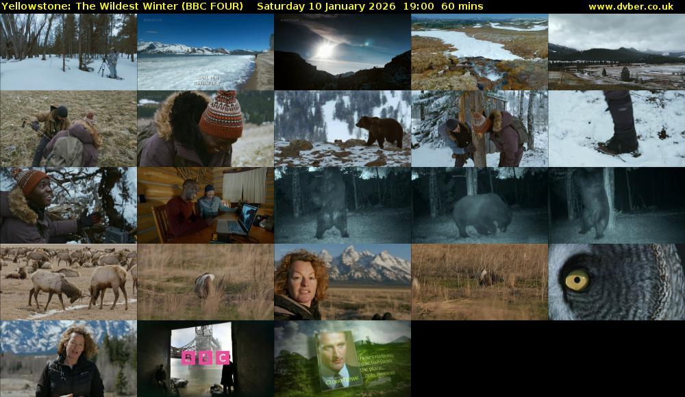 Yellowstone: The Wildest Winter (BBC FOUR) Saturday 10 January 2026 19:00 - 20:00
