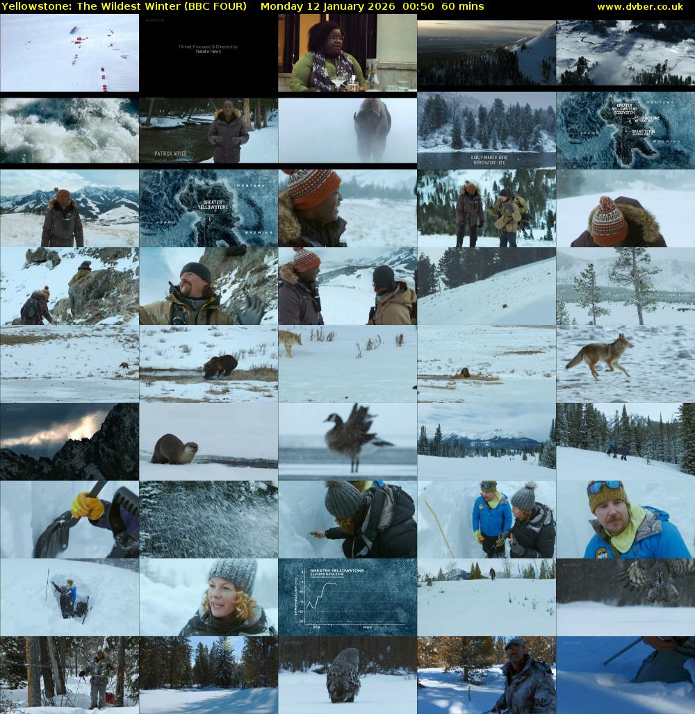 Yellowstone: The Wildest Winter (BBC FOUR) Monday 12 January 2026 00:50 - 01:50