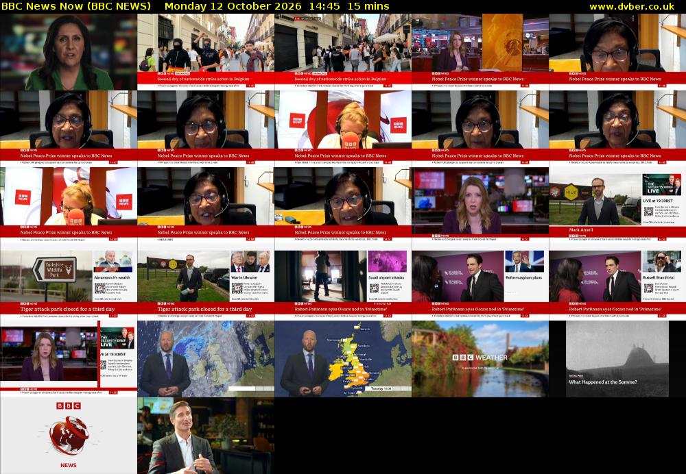 BBC News Now (BBC NEWS) Monday 12 October 2026 14:45 - 15:00