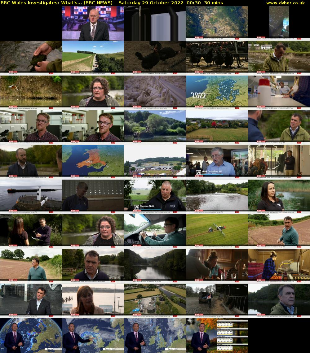 BBC Wales Investigates: What's... (BBC NEWS) Saturday 29 October 2022 00:30 - 01:00