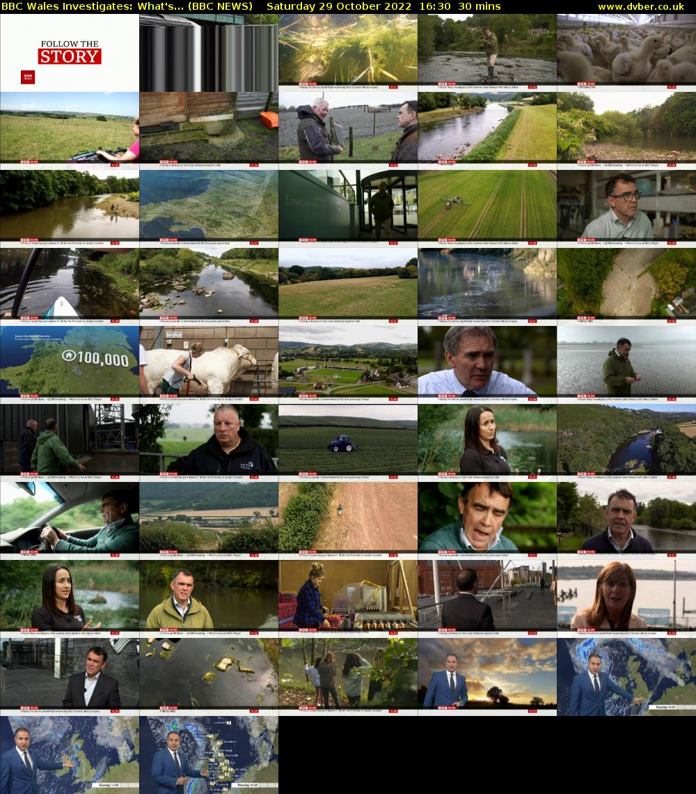 BBC Wales Investigates: What's... (BBC NEWS) Saturday 29 October 2022 16:30 - 17:00
