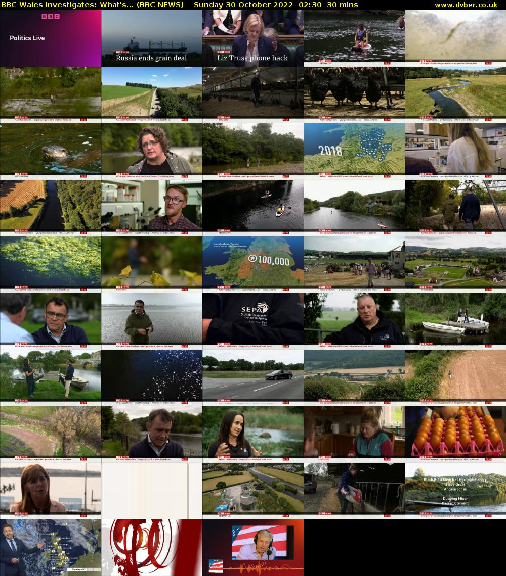 BBC Wales Investigates: What's... (BBC NEWS) Sunday 30 October 2022 02:30 - 03:00