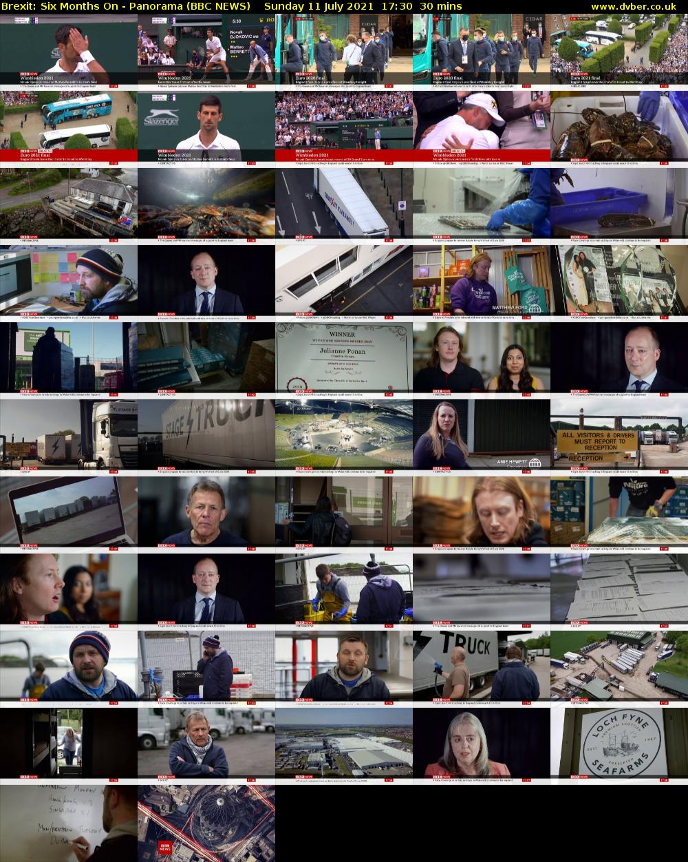 Brexit: Six Months On - Panorama (BBC NEWS) Sunday 11 July 2021 17:30 - 18:00