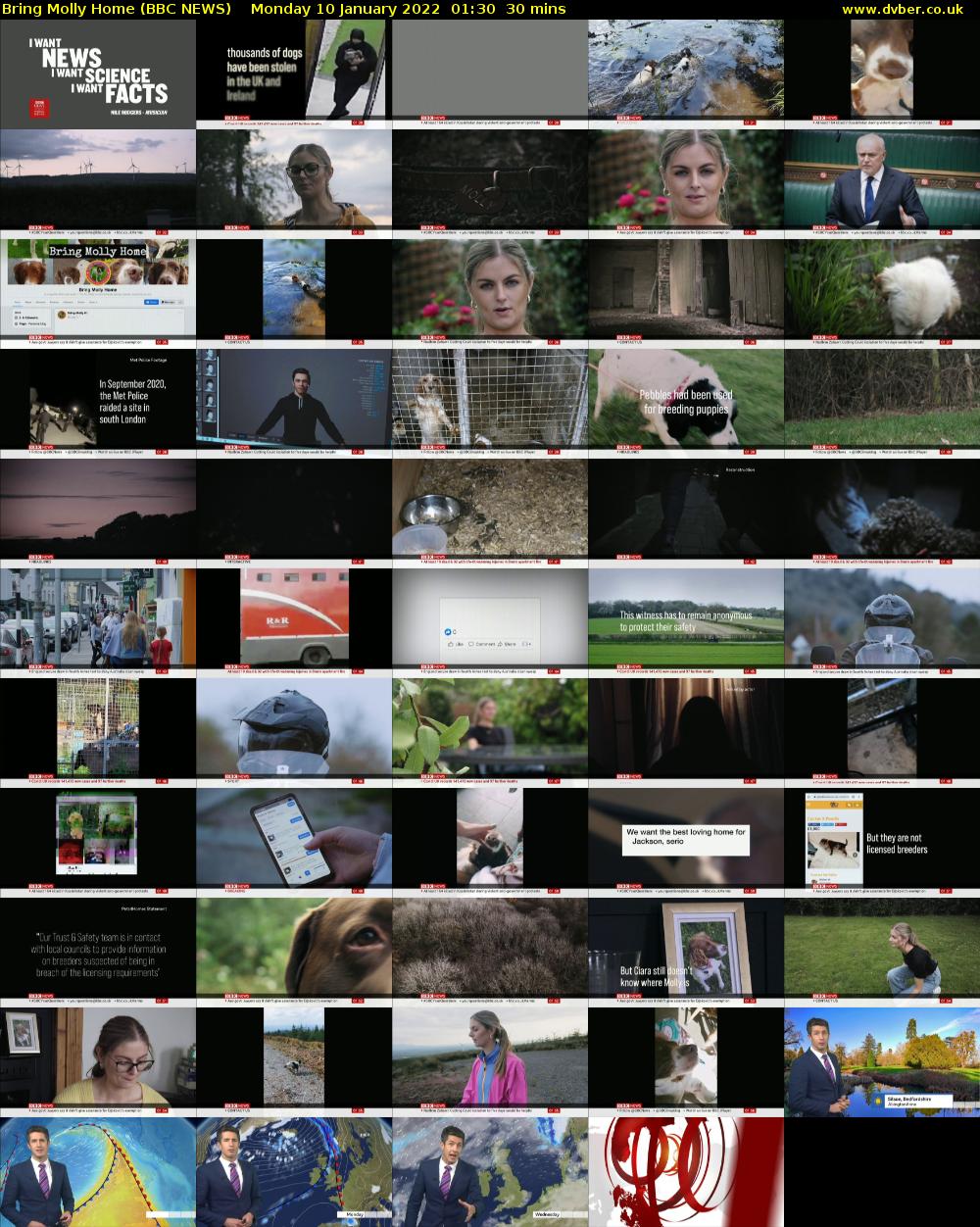 Bring Molly Home (BBC NEWS) Monday 10 January 2022 01:30 - 02:00